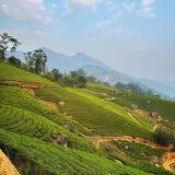 Pothamedu View Point Idukki 